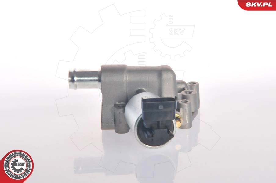 EGR Valve